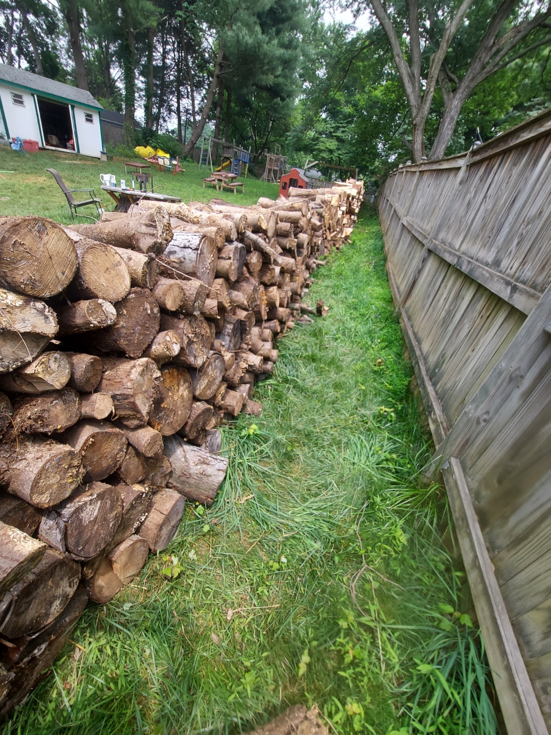 inner wall of split logs